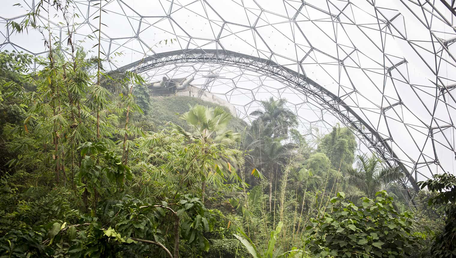 Eden Project interno