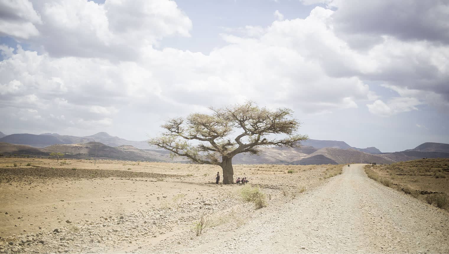 Great green wall