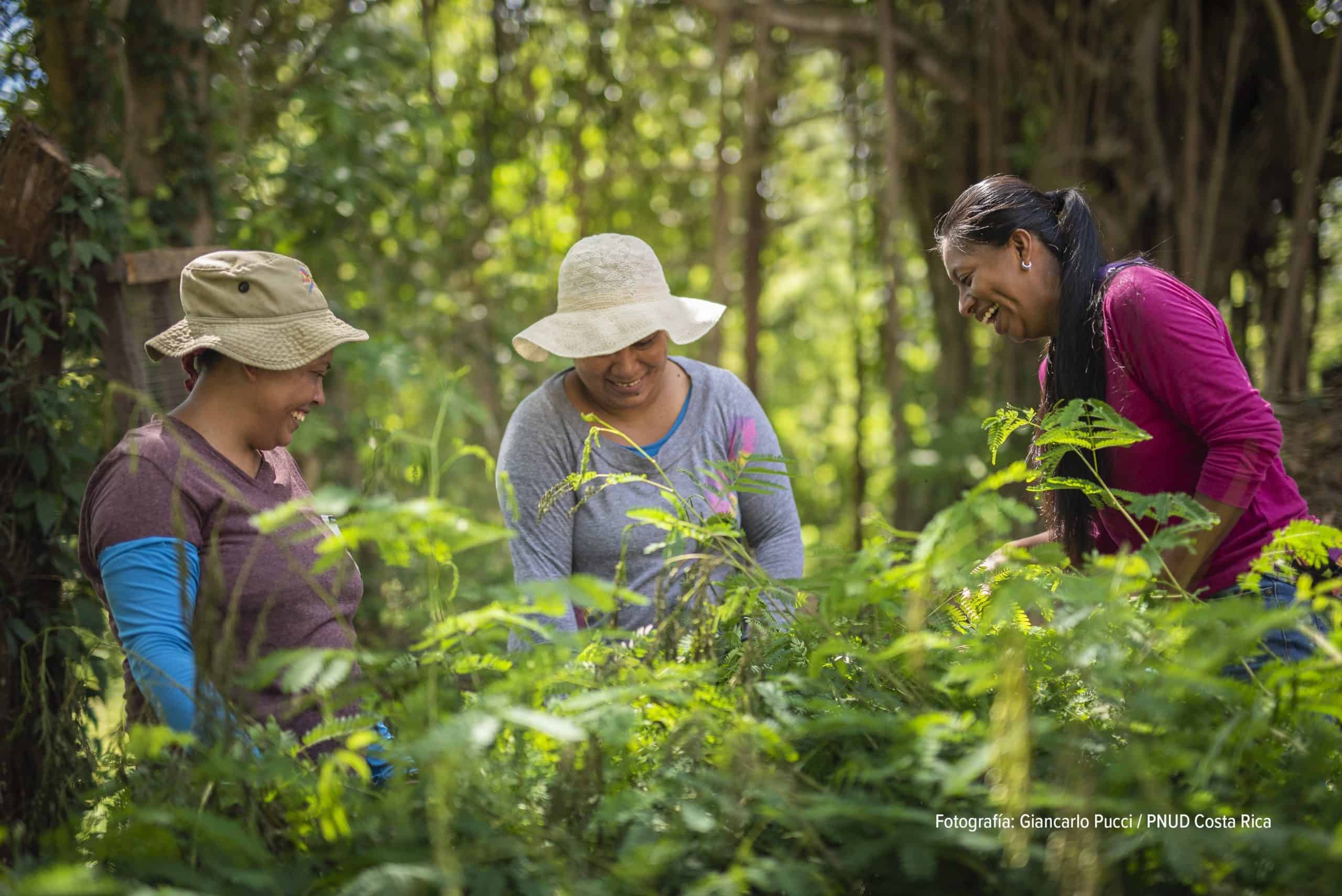 Comunità Costa Rica