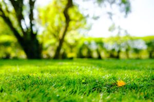 Parco verde e riuso temporaneo