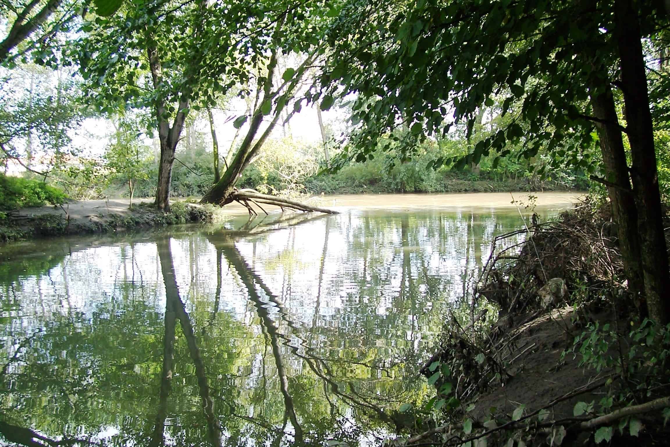 Vettabbia