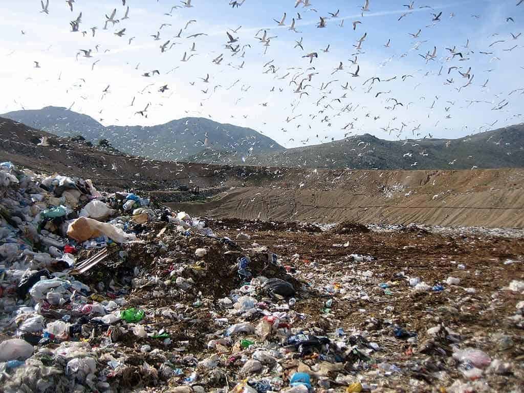 discarica malagrotta