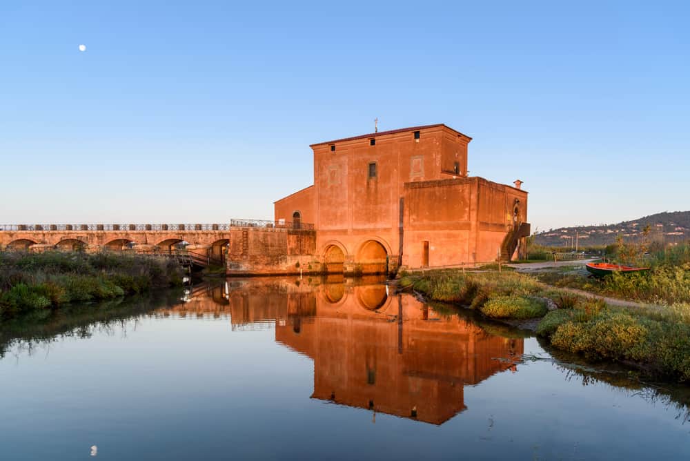 bonifica maremma