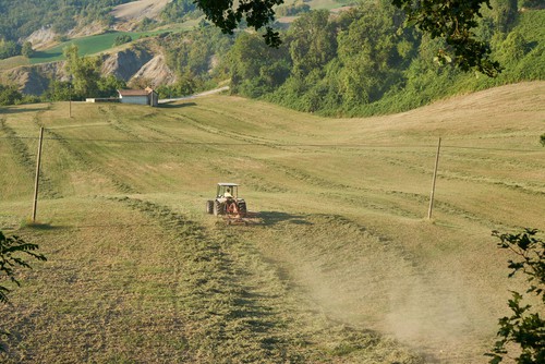 politica agricola comunitaria