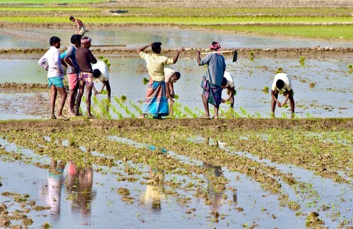 formazione agricoltura sostenibile