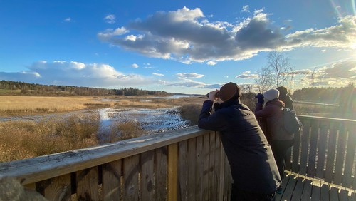 citizen science