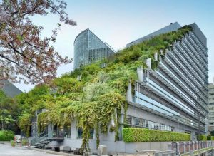 tetto verde sui palazzi