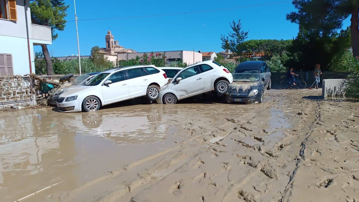 alluvione marche