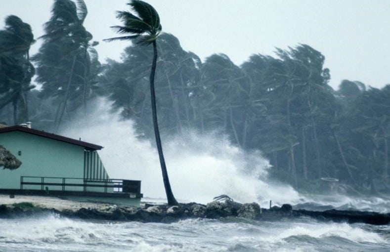 danni da cambiamento climatico