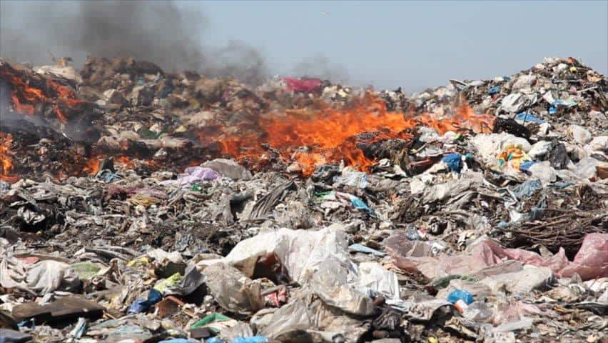 ecomafia