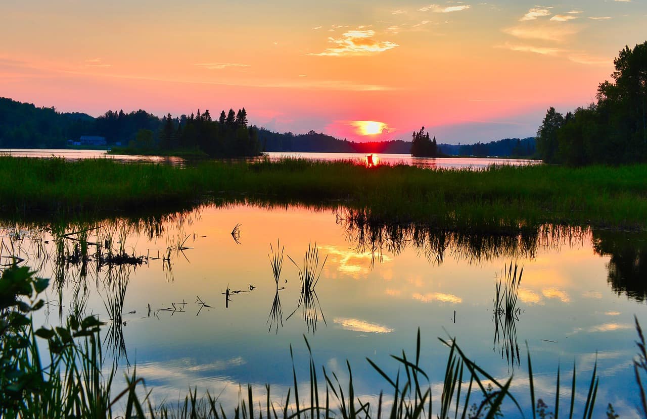 World Wetlands Day