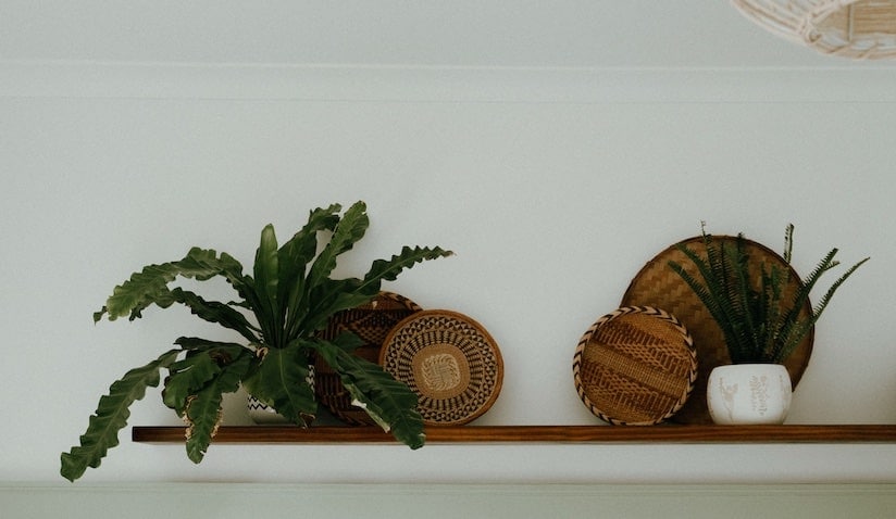 Scopri qui quali possono essere le idee di design circolare più interessanti e sostenibili per arredare la tua casa in maniera rispettosa verso l'ambiente.