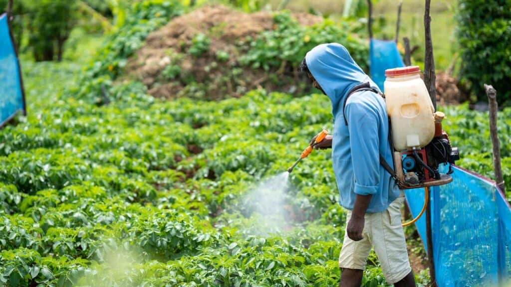 Ecco come è andata la seconda edizione di Horti Aperti, un importante evento sull'ecologia che si è tenuto dal 15 al 17 settembre scorsi a Pavia.