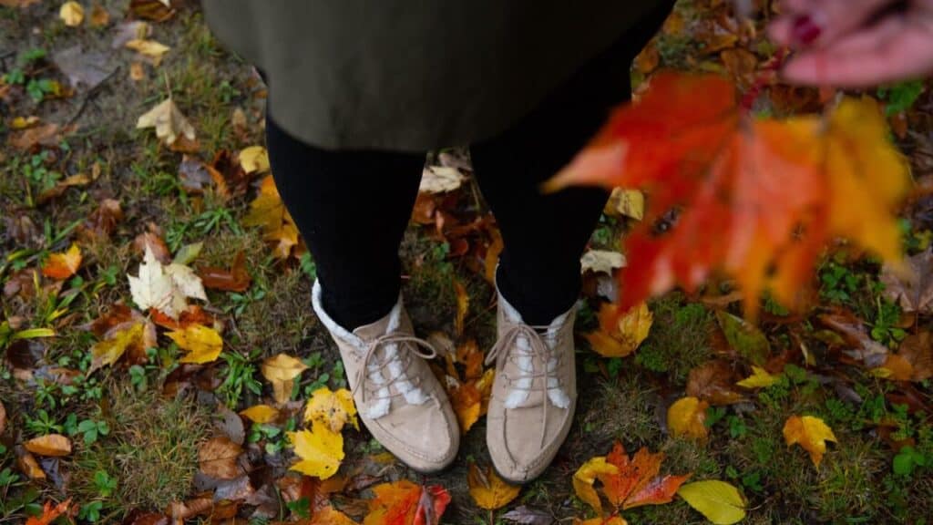 Lavoretti per l'autunno con materiale riciclato: saluta la nuova stagione con creatività!