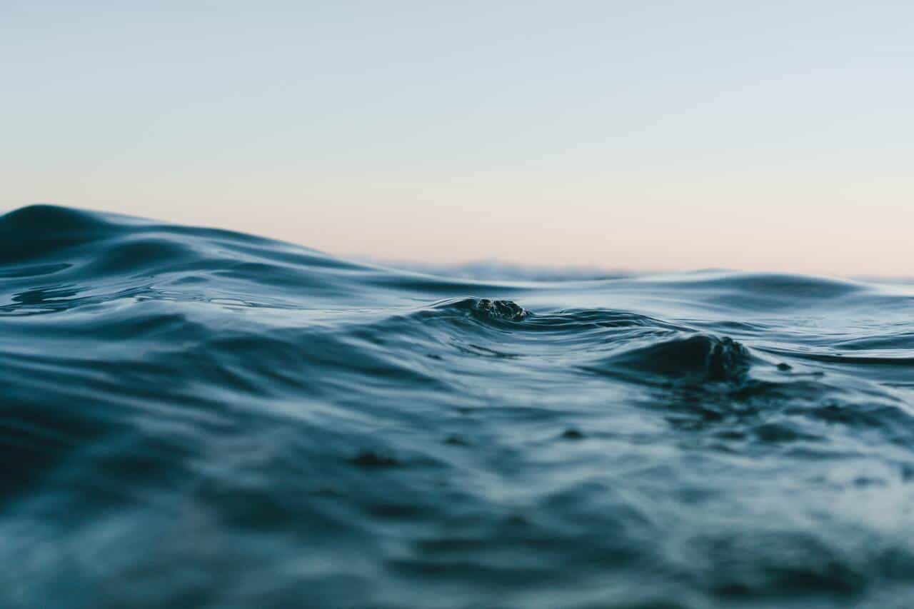 Coastal upwelling: il vento che rigenera il mare e può salvare gli ecosistemi costieri. Oceano agitato dal vento