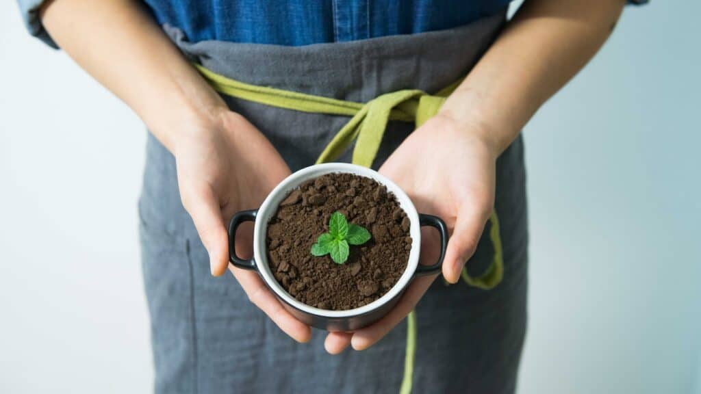 Ecologia integrale: cambiamo l'approccio alla tutela ambientale