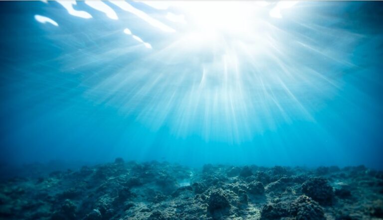 fondo dell'oceano