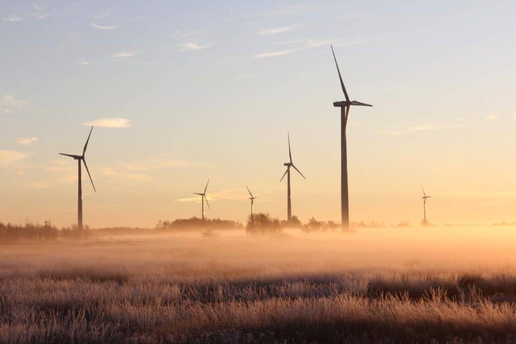 Quali sono i comportamenti da mantenere per rispettare l'ambiente? Scopriamo insieme 12 consigli utili da questo punto di vista.
