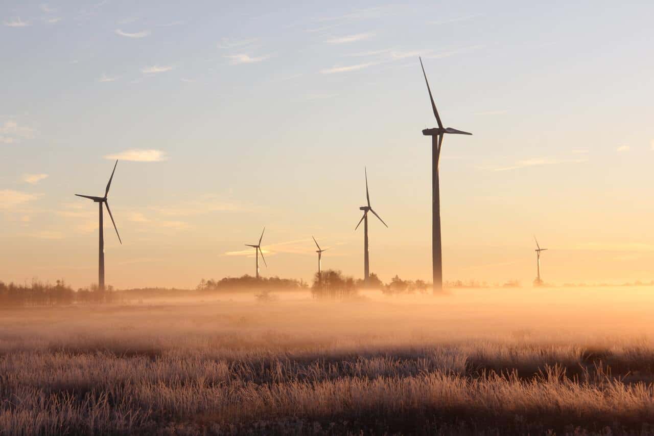 Quali sono i comportamenti da mantenere per rispettare l'ambiente? Scopriamo insieme 12 consigli utili da questo punto di vista.