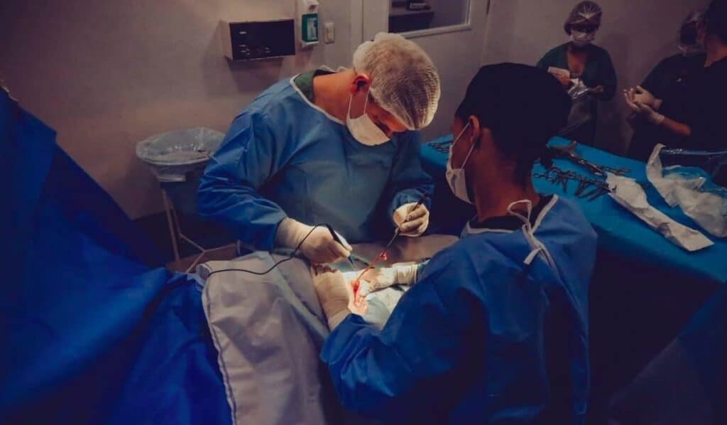 Che cosa si intende con anestesia verde e in che modo può essere un'alternativa sostenibile per gli ospedali? Vediamolo insieme.