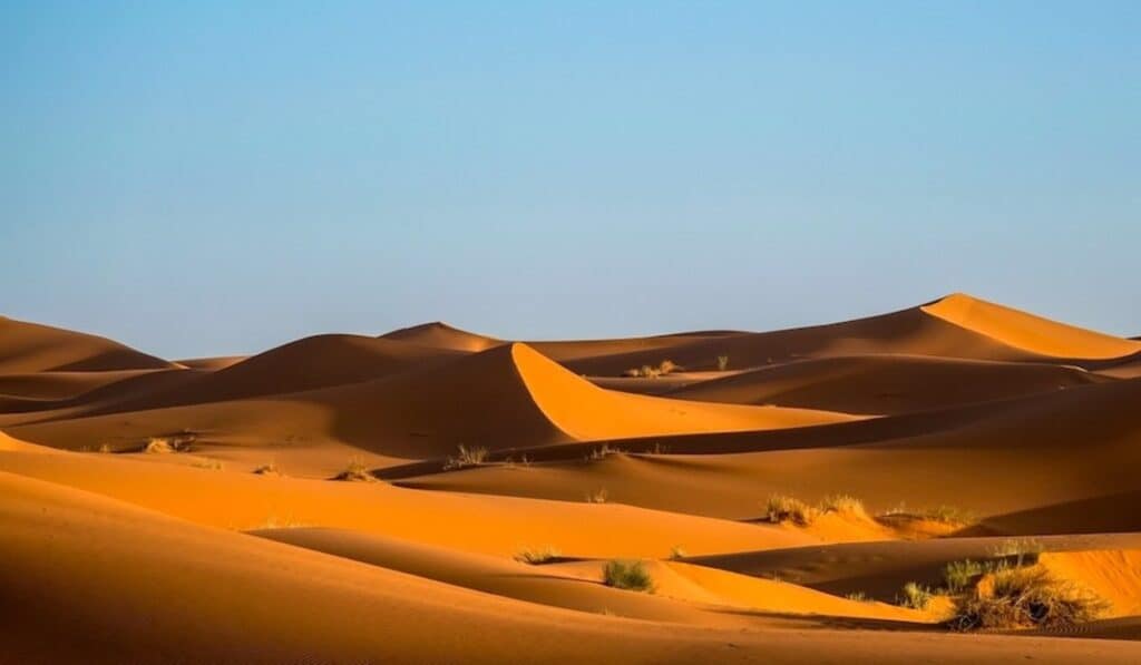 dune del deserto
