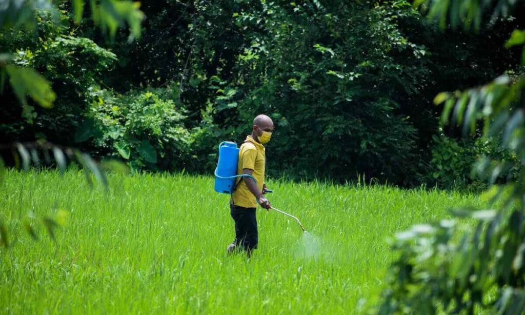 Impatto dei pesticidi: attenziona a quanti ne usiamo