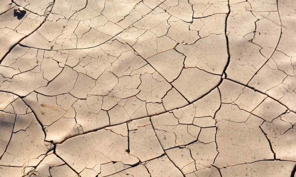 Prevenire l'erosione e la desertificazione