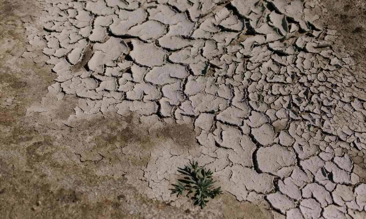 prevenire l'erosione: lo sfruttamento eccessivo del suolo impoverisce il terreno e lo rende secco e desertificato