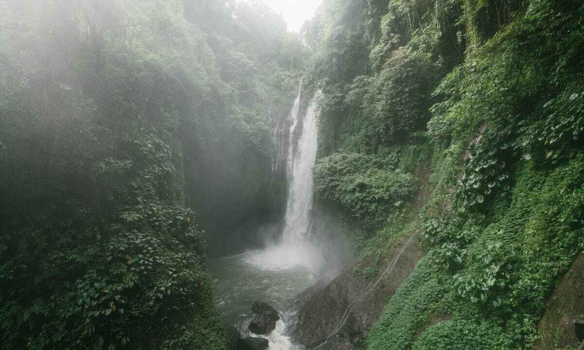 Viaggio sostenibile: una rigogliosa vegetazione con una cascata al centro