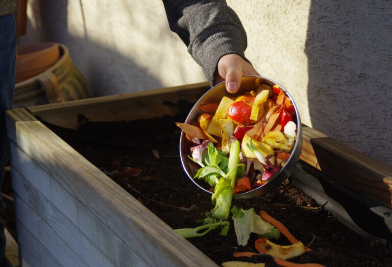 Mani che aggiungono scarti vegetali a un compost.