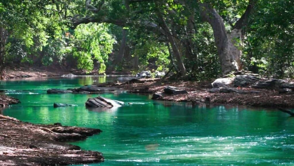 terre incontaminate in Africa