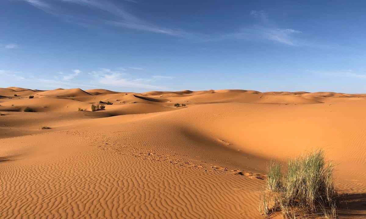 Lago d'Aral: un deserto di sabbia