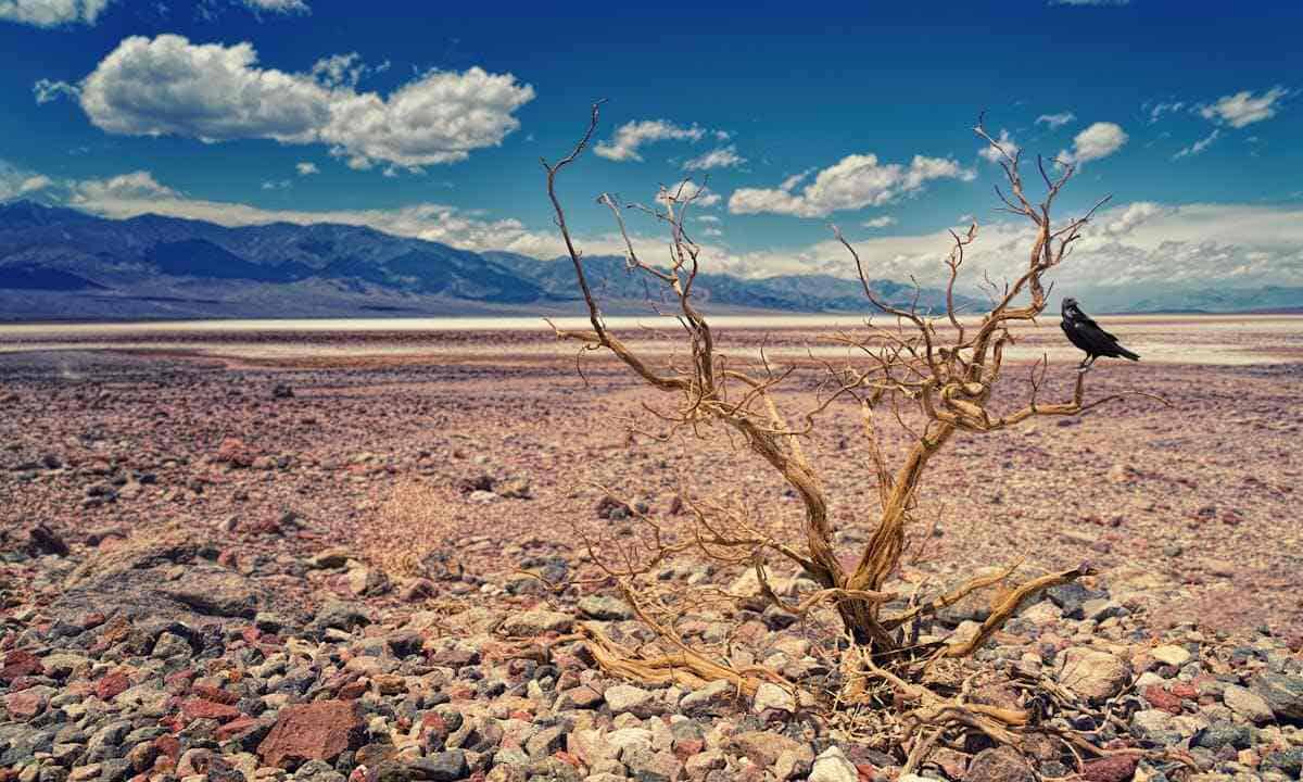 Siccità in Italia: un vasto terreno arido