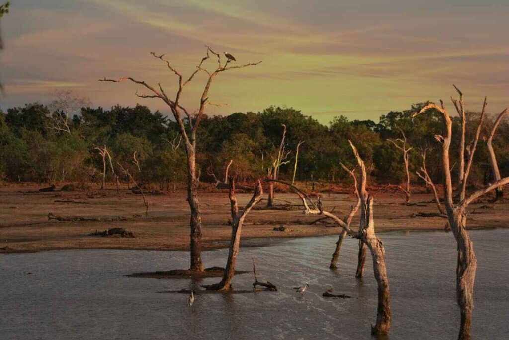 Water grabbing: un lago che si sta prosciugando