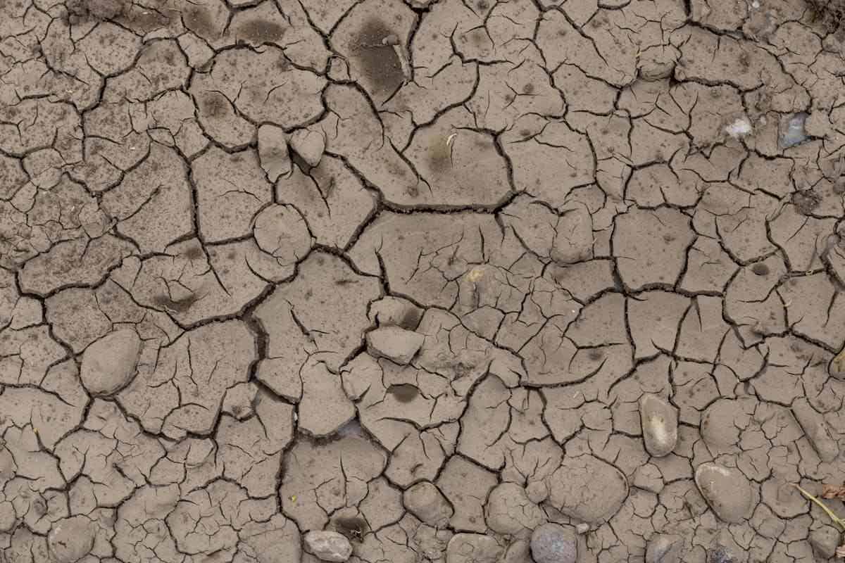 Razionamento dell'acqua: un suolo in desertificazione