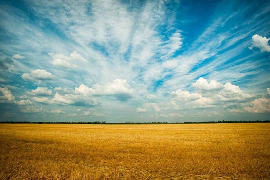 Fiumi volanti in cielo