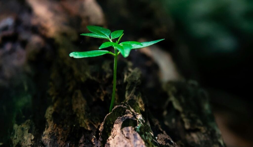 L'ambiente trascindiplinare è l'approccio giusto per affrontare una serie di alcune problematiche ambientali importanti: ecco tutto quello che devi sapere.
