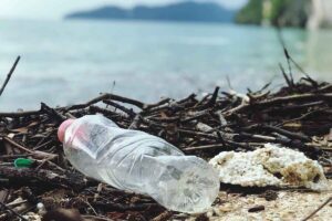 Isola di plastica: una bottiglia di plastica con il mare sullo sfondo