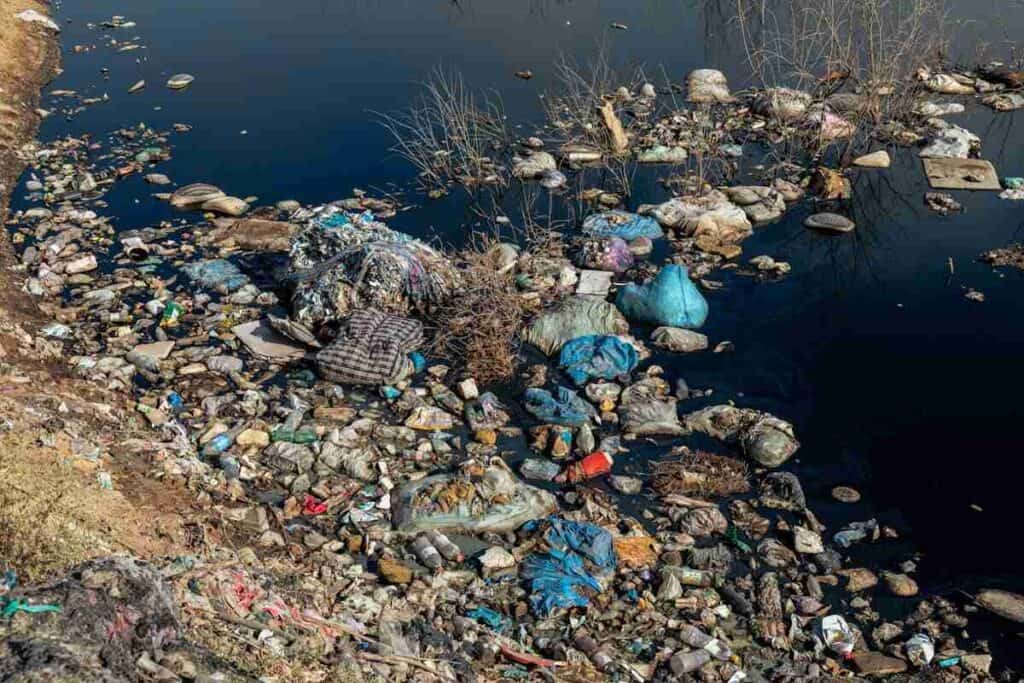 inquinamento da plastica, il PHL7 decompone il PET