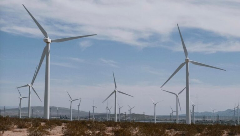 Un parco eolico. Il mini eolico sta rivoluzionando la produzione di energia nelle città, con turbine compatte che sfruttano il vento anche in ambienti urbani.