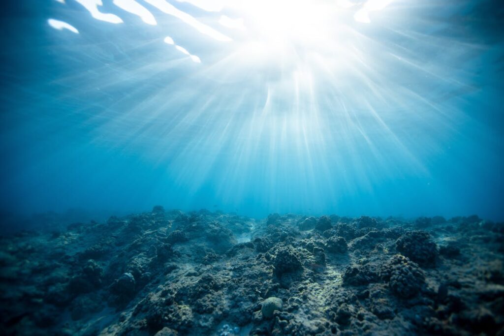 blue carbon rimedi cambiamento climatico