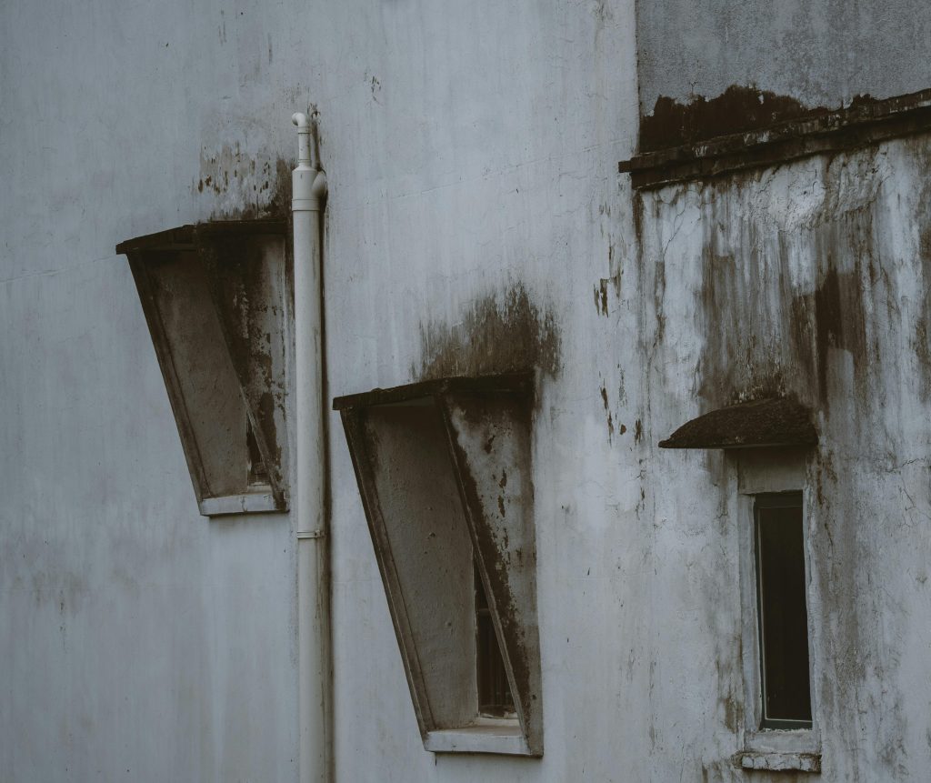 Colonie di muffe presenti su parete e finestre di un immobile