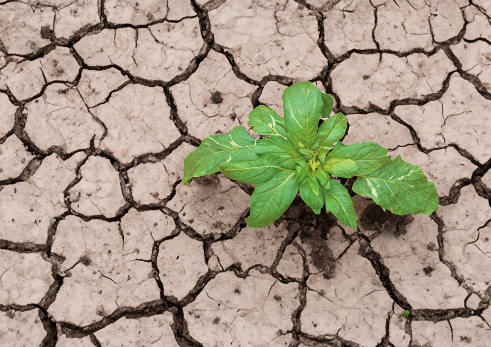 Resilienza idrica