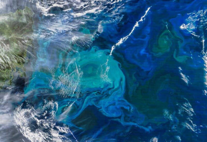 desertificazione degli oceani