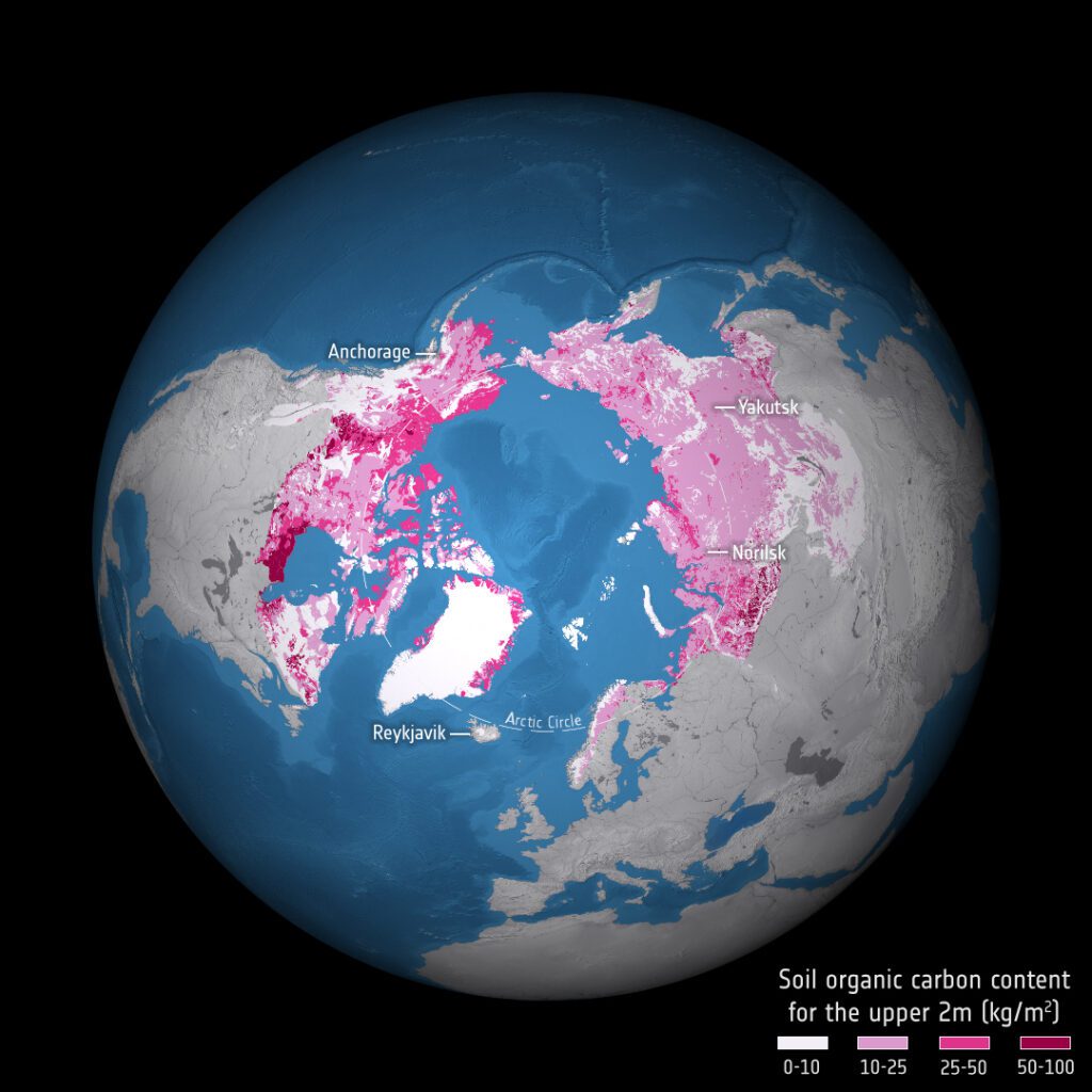 Permafrost thaw: tabella di carbonio contenuto nel ghiaccio