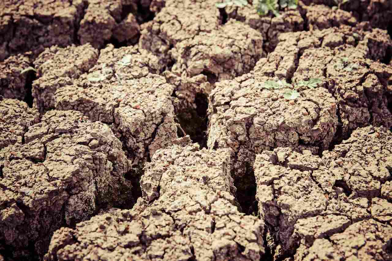Flash drought: un terreno arido