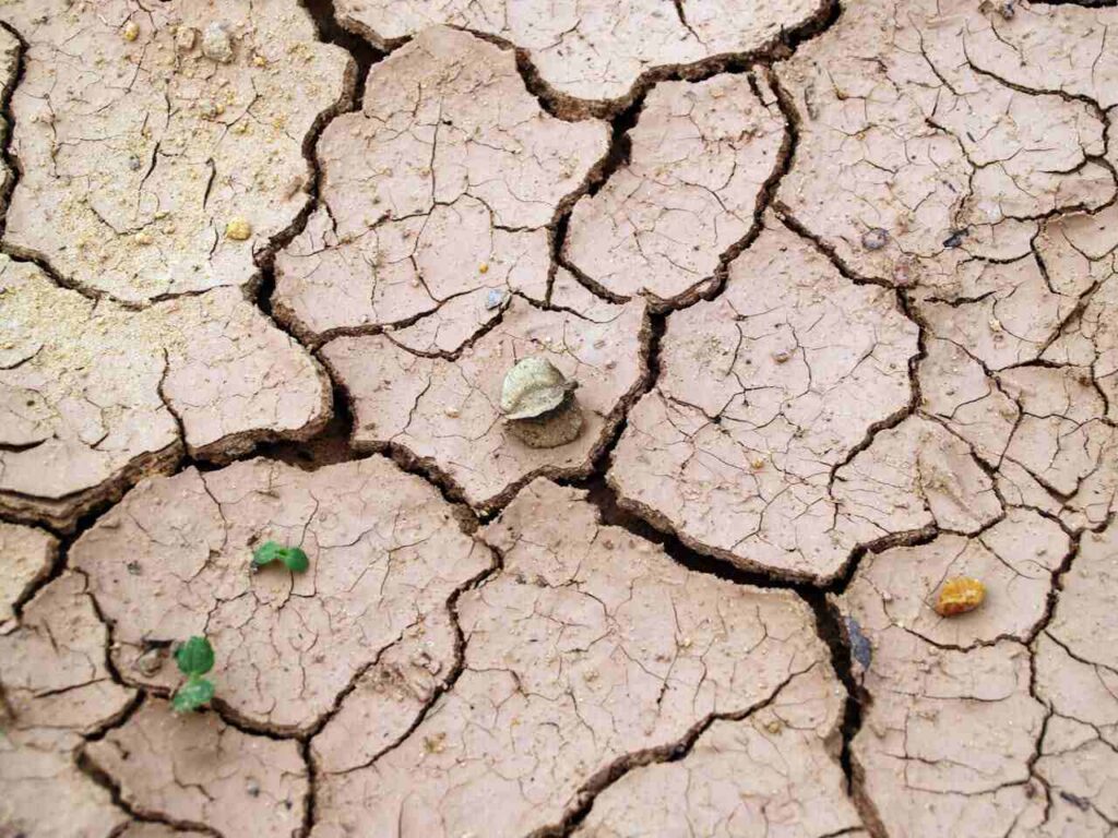 Flash drought: segni sul suolo
