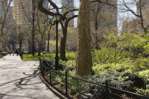 Infrastrutture verdi: una cartolina da Central Park