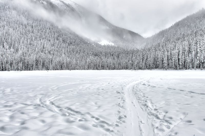 Neve artificiale: una pista innevata