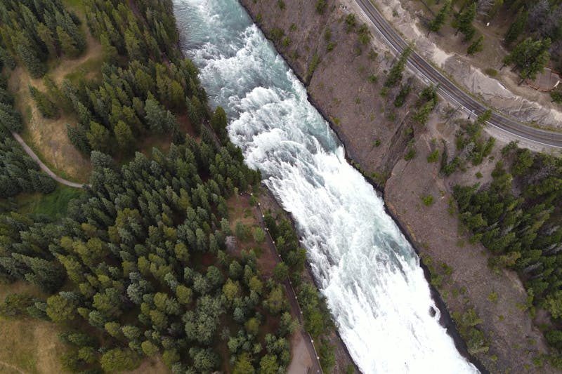 cascata trofica: yellowstone visto dall'alto